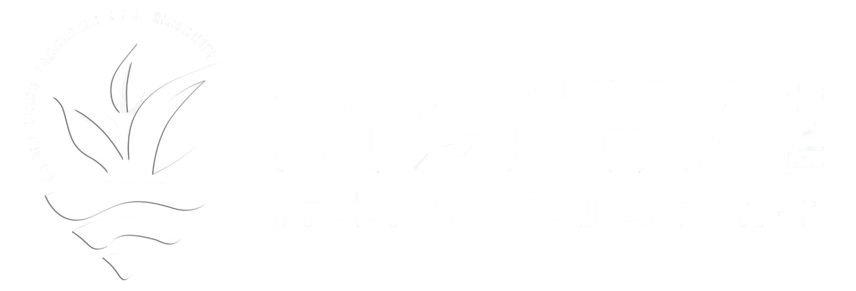 Mathafresh logo